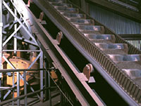 Shuttle Conveyor